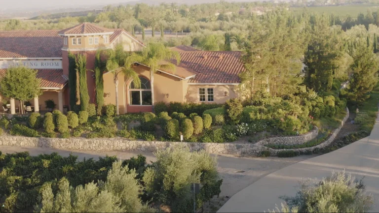 Carter Estate Winery and, a dog-friendly restaurant in Temecula, California